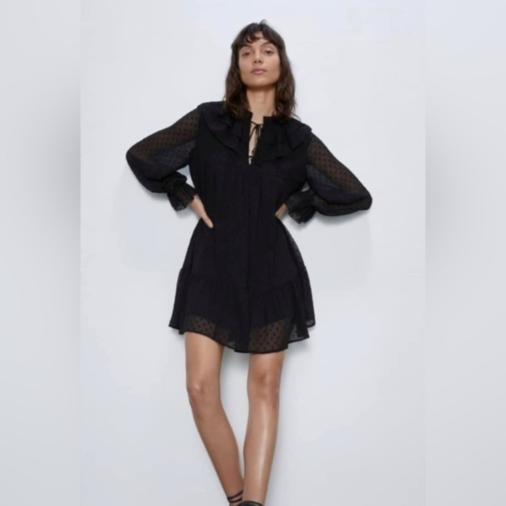 Zara black mesh dotted long sleeve dress